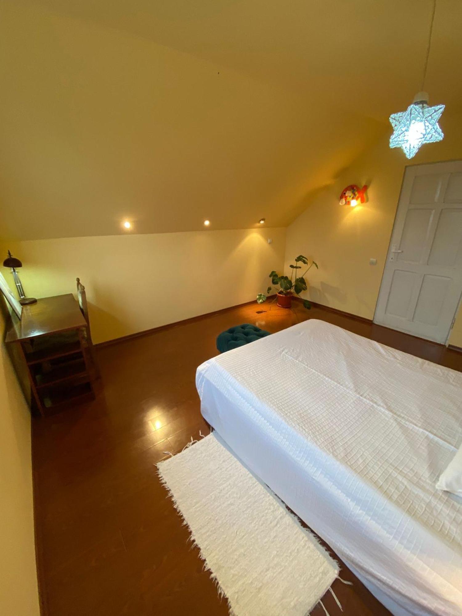 Cosy Bedroom For 2 With Balcony In A Family Villa Turnu Măgurele エクステリア 写真