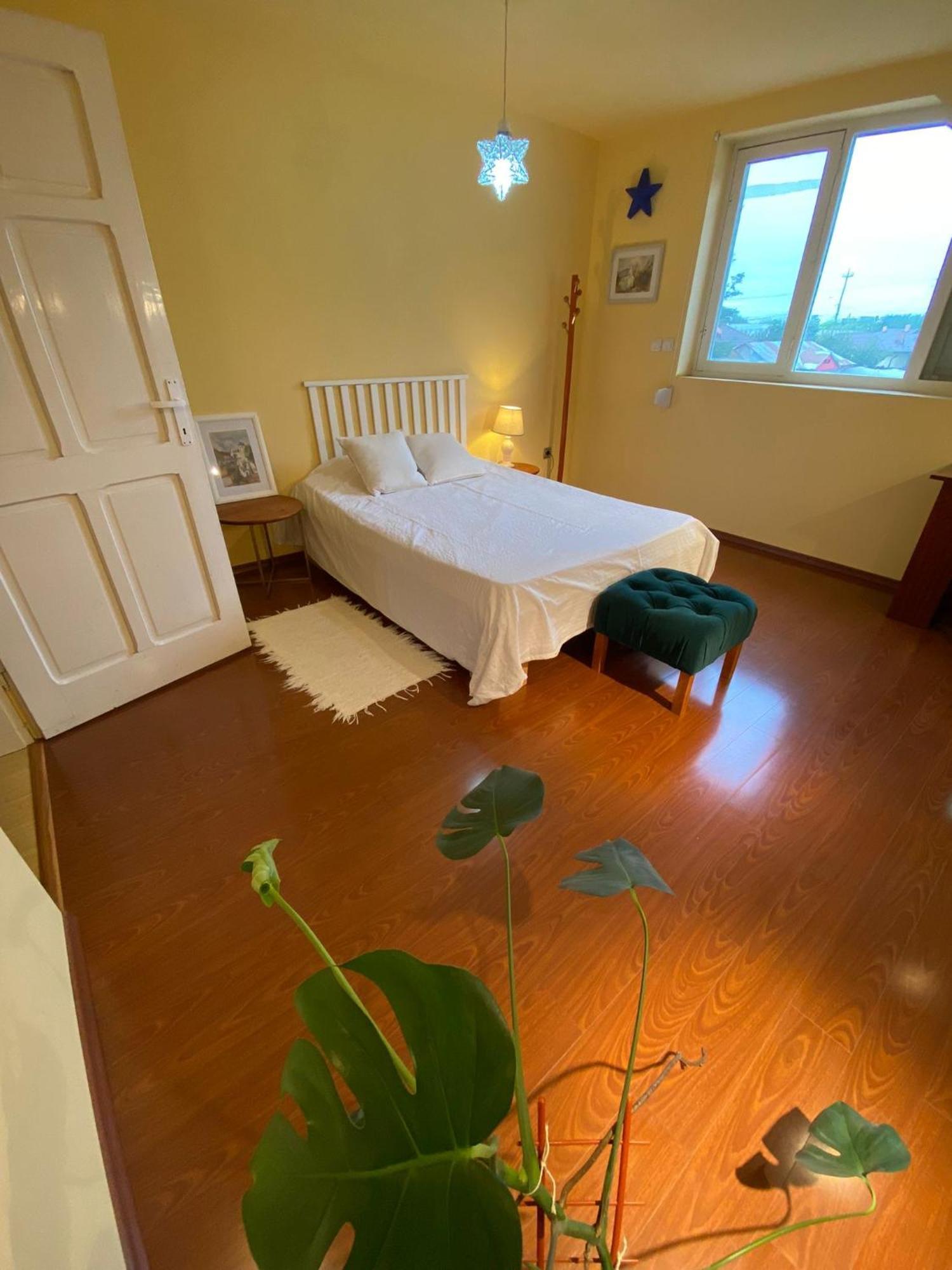 Cosy Bedroom For 2 With Balcony In A Family Villa Turnu Măgurele エクステリア 写真