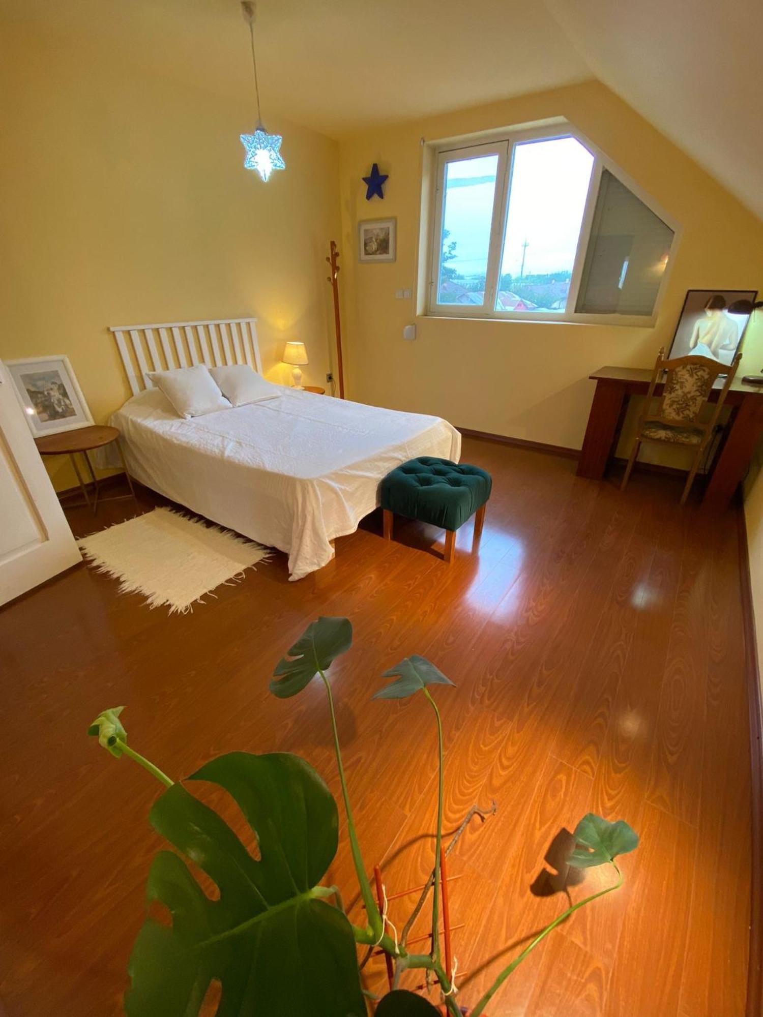Cosy Bedroom For 2 With Balcony In A Family Villa Turnu Măgurele エクステリア 写真